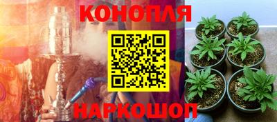 стаф Будённовск