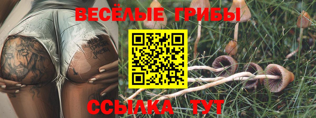 Галлюциногенные грибы ЛСД Кыштым
