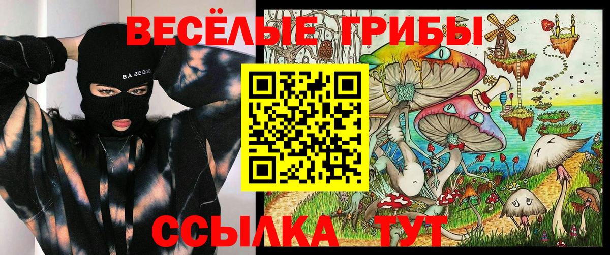 купить закладку  Галлюциногенные грибы Magic Shrooms  Кыштым  Вход с VPN  Псилоцибиновые грибы ЛСД 